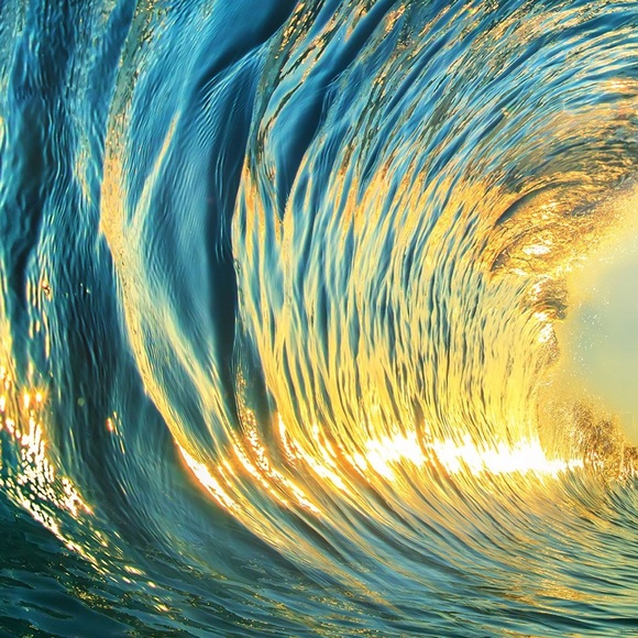 Meet your Posher, Elijah - Picture 1 of 1